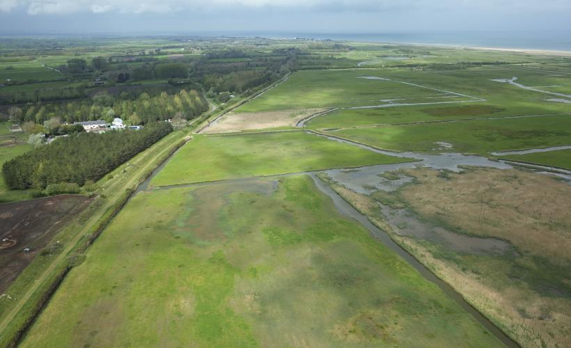 Réserve Naturelle Nationale Du Domaine De Beauguillot